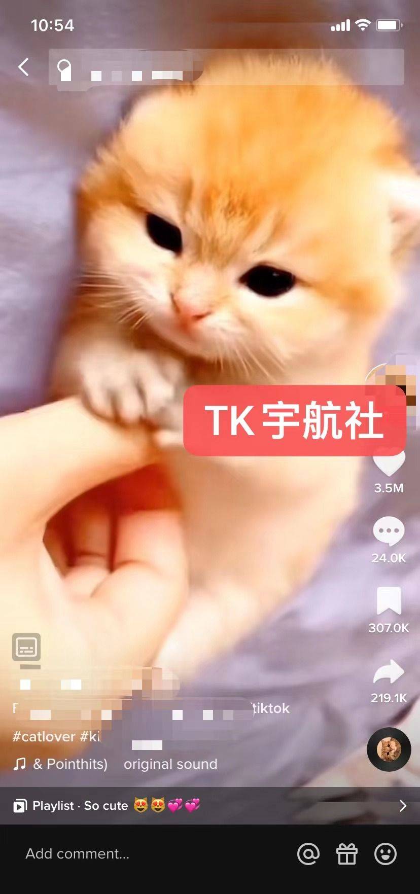 儿童版小苹果舞蹈视频教程:怎样运营TikTok才能获得更多的推荐-第7张图片-太平洋在线下载
