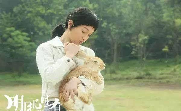 苹果手机版神偷奶爸多少钱:7月份连续两部主旋律大片票房扑街,建军大业20亿还有戏吗-第4张图片-太平洋在线下载