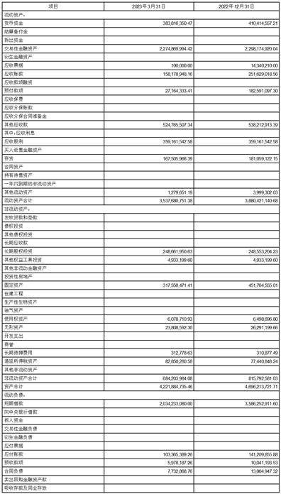 蜀汉宏图3苹果版:江苏宏图高科技股份有限公司2023第一季度报告-第5张图片-太平洋在线下载