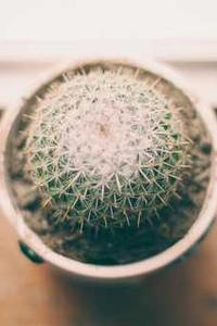 分分彩做号软件手机版