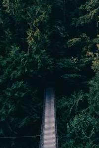 苹果手机微信分身版电脑版