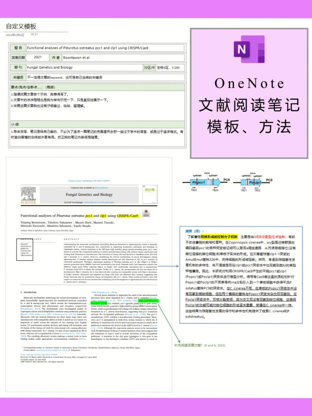 onenote安卓版右对齐onenote2016安卓版