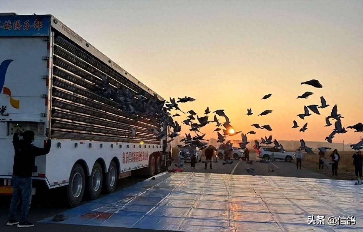 赛鸽头条苹果版今日头条苹果版下载安装-第2张图片-太平洋在线下载