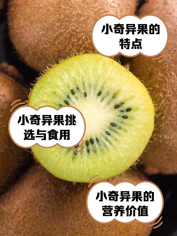 奇异果app下载手机版奇异果tvapp官网下载