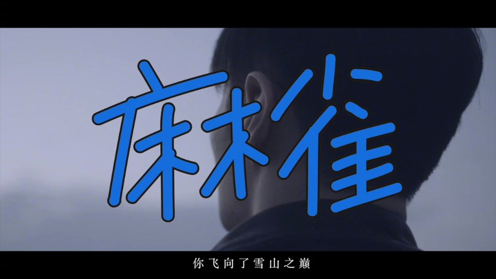 麻雀加速安卓版加速器安卓版下载