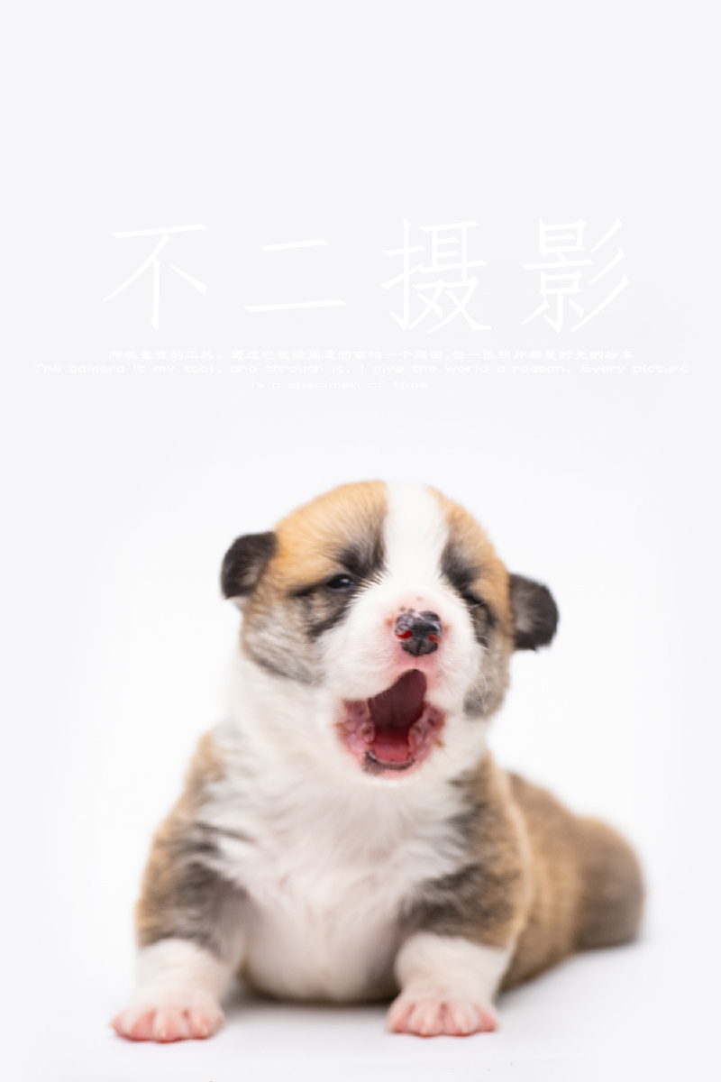 kk2014手机版(kk安卓手机客户端下载)