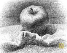 素版苹果(素描版的苹果)