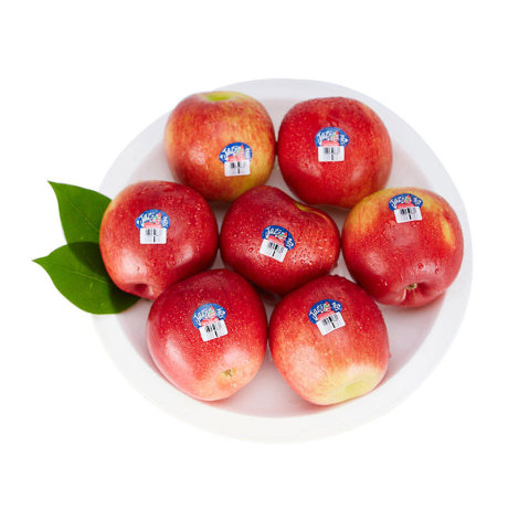 公共版苹果(ios公共账号怎么使用)-第5张图片-QuickQ官网 公共版苹果(ios公共账号怎么使用)-第5张图片-QuickQ官网