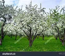 xthzpro苹果版(huazytop120帧和平精英)-第5张图片-QuickQ官网